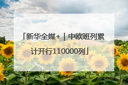 新华全媒+｜中欧班列累计开行110000列