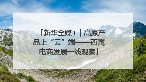 新华全媒+｜高原产品上“云”端——西藏电商发展一线观察