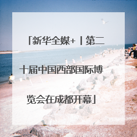 新华全媒+丨第二十届中国西部国际博览会在成都开幕