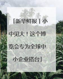 新华鲜报丨小中见大！这个博览会专为全球中小企业搭台