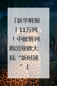 新华鲜报丨11万列！中欧班列跑出亚欧大陆“新时速”