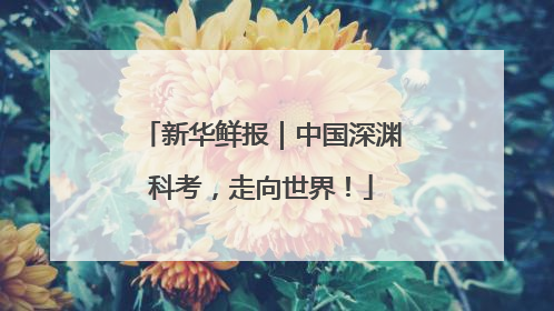 新华鲜报｜中国深渊科考，走向世界！