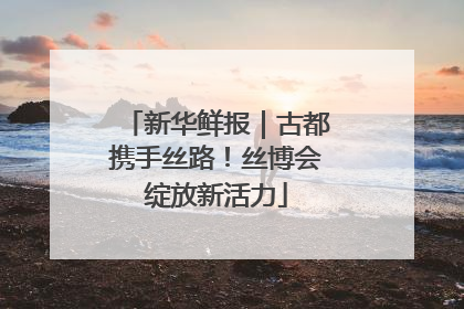 新华鲜报｜古都携手丝路！丝博会绽放新活力