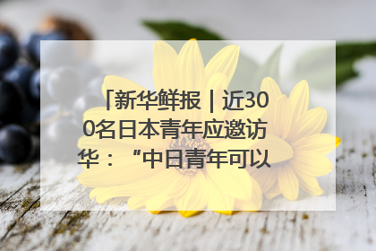 新华鲜报｜近300名日本青年应邀访华：“中日青年可以创造更好的未来”