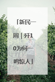 新民一周｜歼10为何一鸣惊人