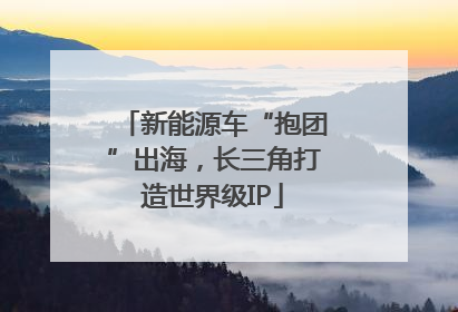 新能源车“抱团”出海，长三角打造世界级IP