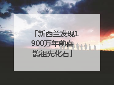 新西兰发现1900万年前喜鹊祖先化石