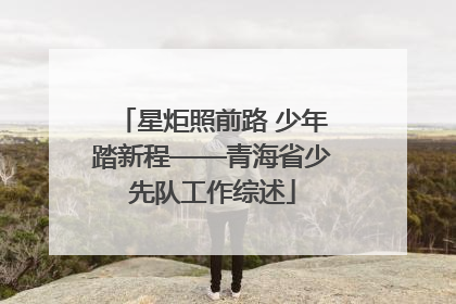 星炬照前路 少年踏新程——青海省少先队工作综述