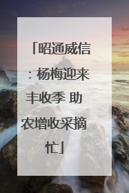 昭通威信：杨梅迎来丰收季 助农增收采摘忙