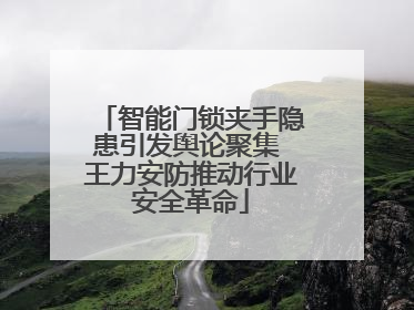 智能门锁夹手隐患引发舆论聚集 王力安防推动行业安全革命