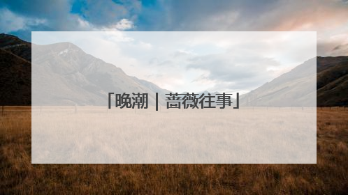 晚潮｜蔷薇往事