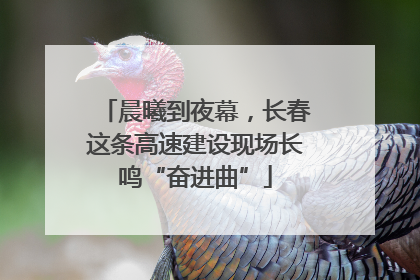 晨曦到夜幕，长春这条高速建设现场长鸣“奋进曲”