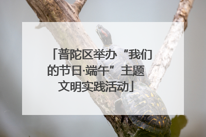 普陀区举办“我们的节日·端午”主题文明实践活动