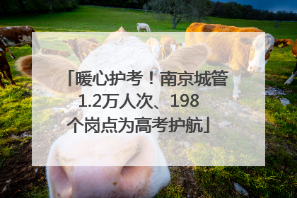 暖心护考！南京城管1.2万人次、198个岗点为高考护航