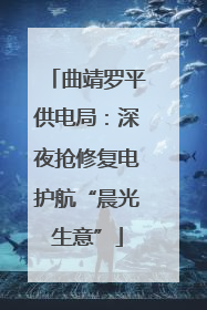曲靖罗平供电局：深夜抢修复电护航“晨光生意”