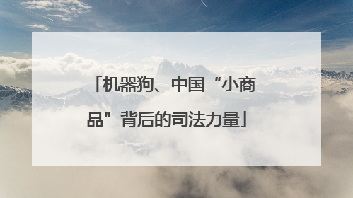机器狗、中国“小商品”背后的司法力量
