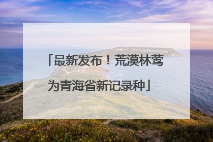 最新发布！荒漠林莺为青海省新记录种