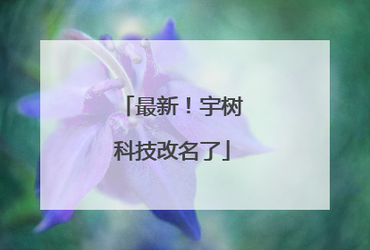 最新！宇树科技改名了