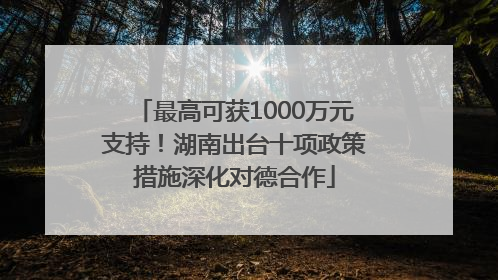 最高可获1000万元支持！湖南出台十项政策措施深化对德合作