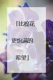 比棉花更饱满的希望