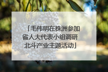 毛伟明在株洲参加省人大代表小组调研北斗产业主题活动