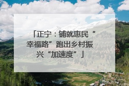 正宁：铺就惠民“幸福路”跑出乡村振兴“加速度”