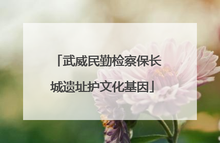 武威民勤检察保长城遗址护文化基因