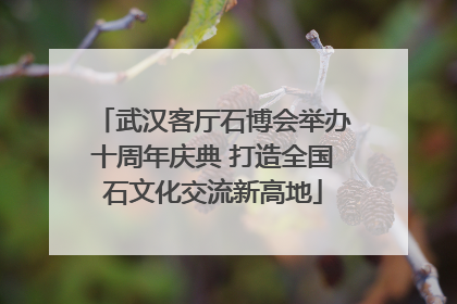 武汉客厅石博会举办十周年庆典 打造全国石文化交流新高地