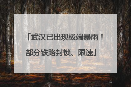 武汉已出现极端暴雨！部分铁路封锁、限速