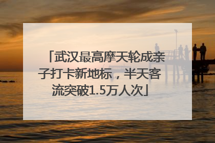 武汉最高摩天轮成亲子打卡新地标，半天客流突破1.5万人次
