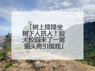 树上排排坐 树下人挤人！厦大校园来了一窝猫头鹰引围观