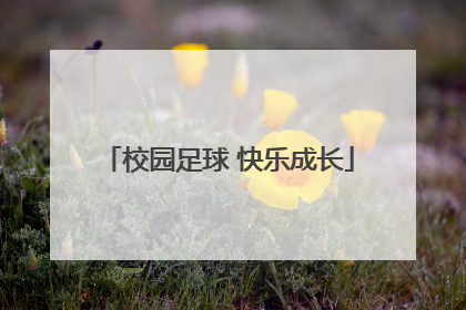 校园足球 快乐成长