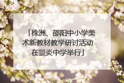株洲、邵阳中小学美术新教材教学研讨活动在景炎中学举行
