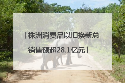 株洲消费品以旧换新总销售额超28.1亿元