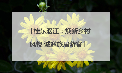 桂东沤江：焕新乡村风貌 诚邀旅居游客