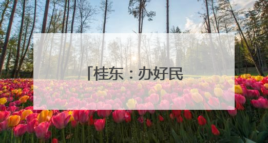 桂东：办好民生实事 绘就残疾人幸福底色