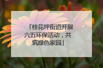 桂花坪街道开展六五环保活动，共筑绿色家园