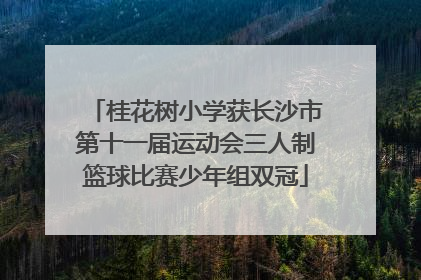 桂花树小学获长沙市第十一届运动会三人制篮球比赛少年组双冠