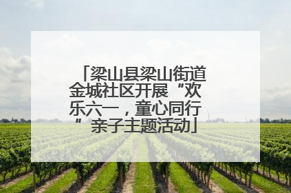 梁山县梁山街道金城社区开展“欢乐六一，童心同行”亲子主题活动