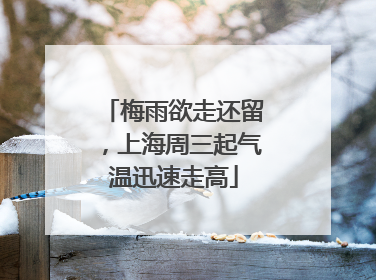 梅雨欲走还留，上海周三起气温迅速走高
