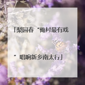 梨园春“俺村最有戏”唱响新乡南太行