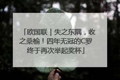 欧国联｜失之东隅，收之桑榆！四年无冠的C罗终于再次举起奖杯