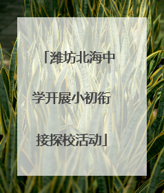 潍坊北海中学开展小初衔接探校活动