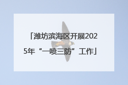 潍坊滨海区开展2025年“一喷三防”工作