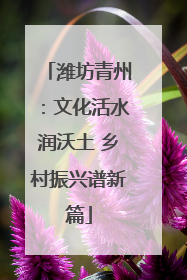 潍坊青州：文化活水润沃土 乡村振兴谱新篇