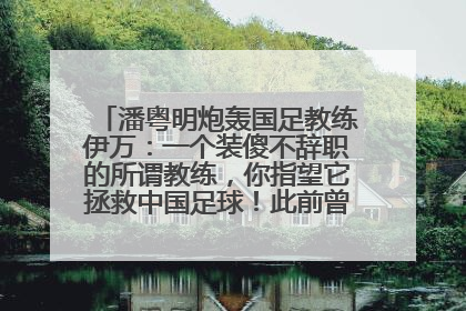 潘粤明炮轰国足教练伊万：一个装傻不辞职的所谓教练，你指望它拯救中国足球！此前曾多次发文评价国足