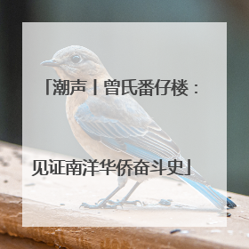 潮声丨曾氏番仔楼：见证南洋华侨奋斗史