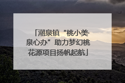 潮泉镇“桃小美·泉心办”助力梦幻桃花源项目扬帆起航