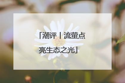 潮评丨流萤点亮生态之光
