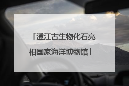澄江古生物化石亮相国家海洋博物馆